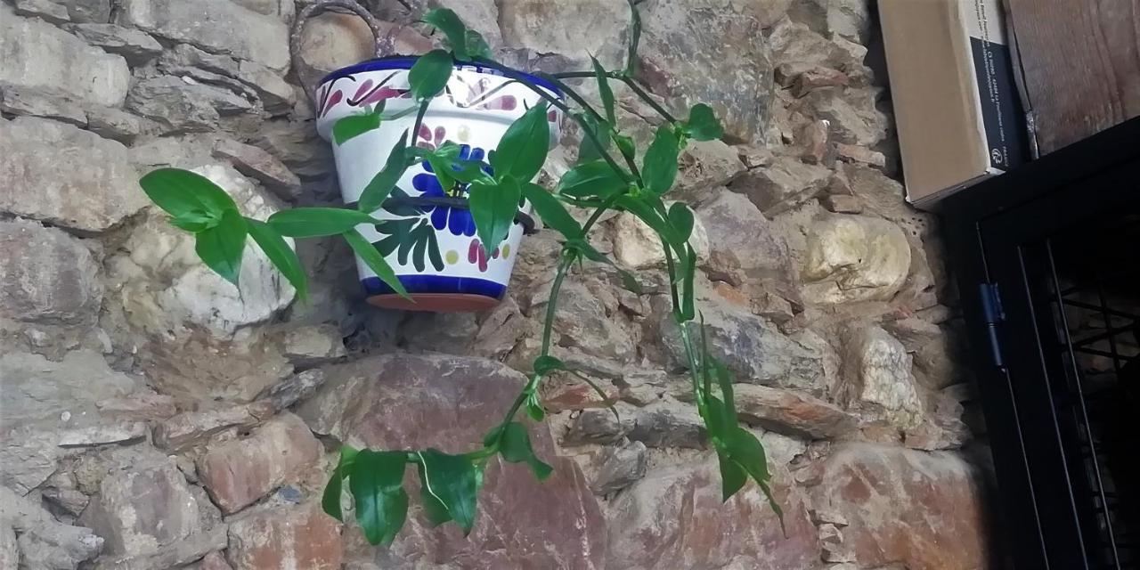Casa Rural Abuela Maxi Ríolobos Esterno foto