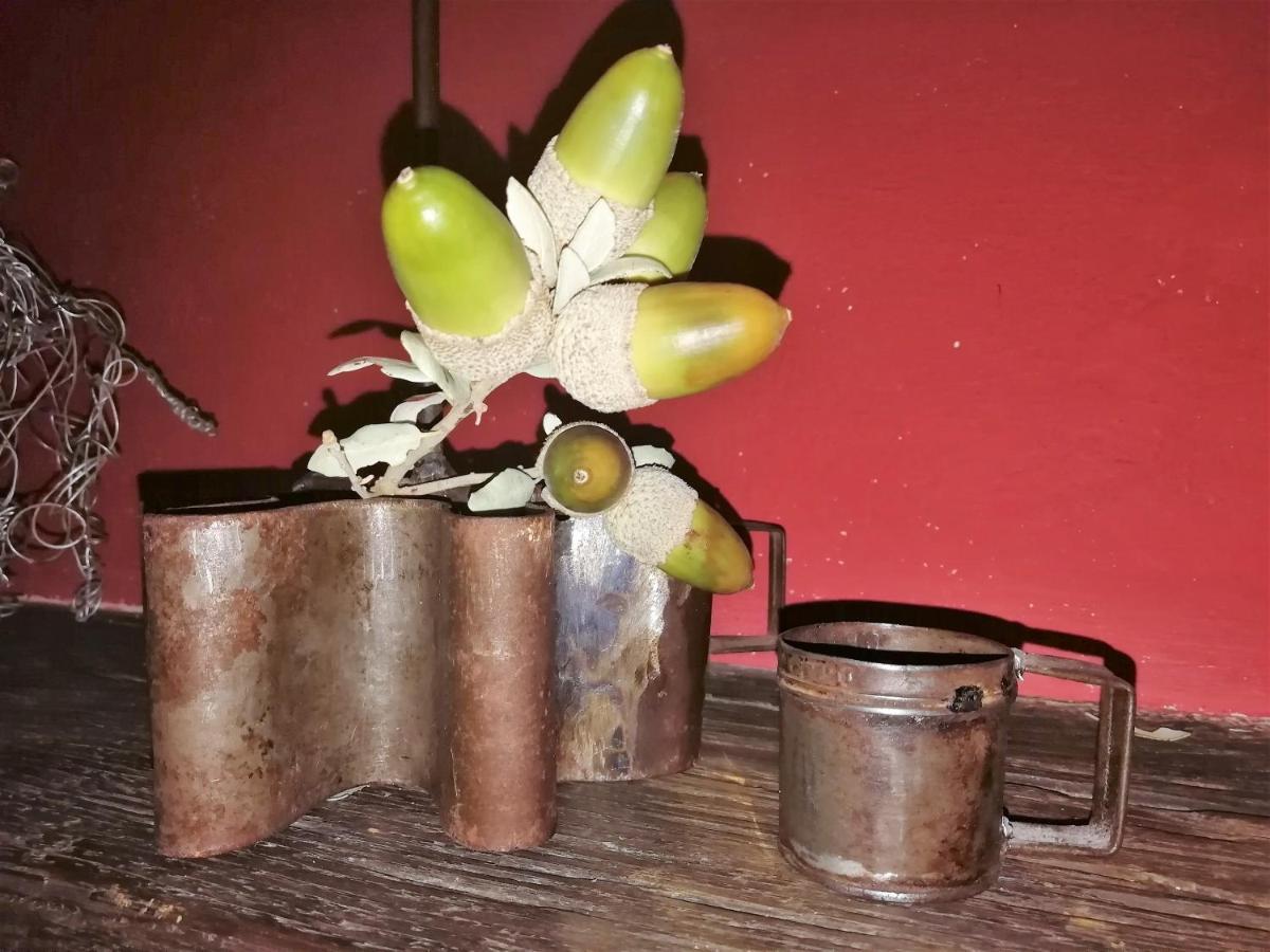 Casa Rural Abuela Maxi Ríolobos Esterno foto